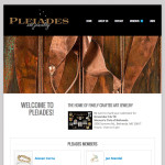 Pleiades Art Jewelry